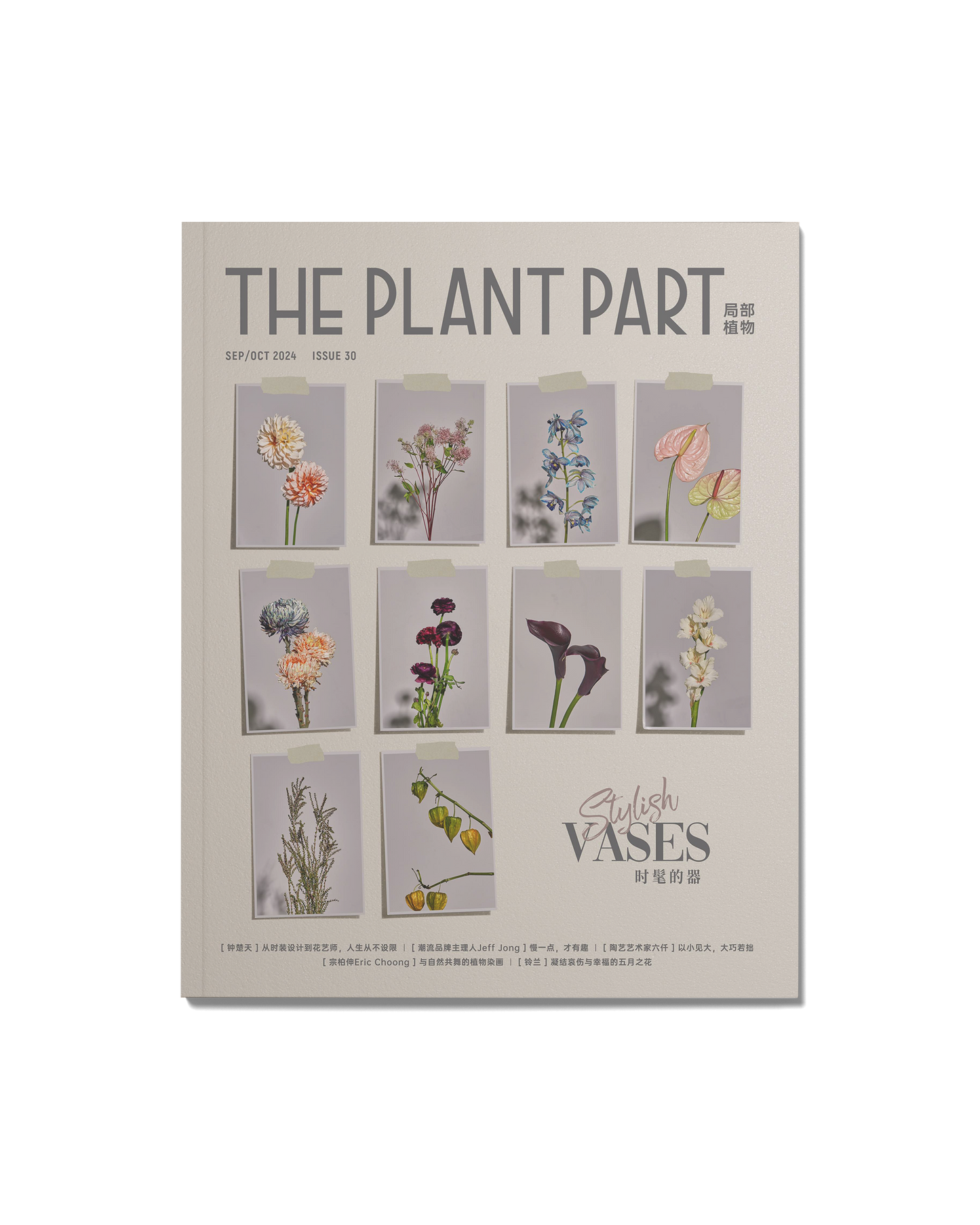 《P²ART》 ISSUE30 -「时髦的器」