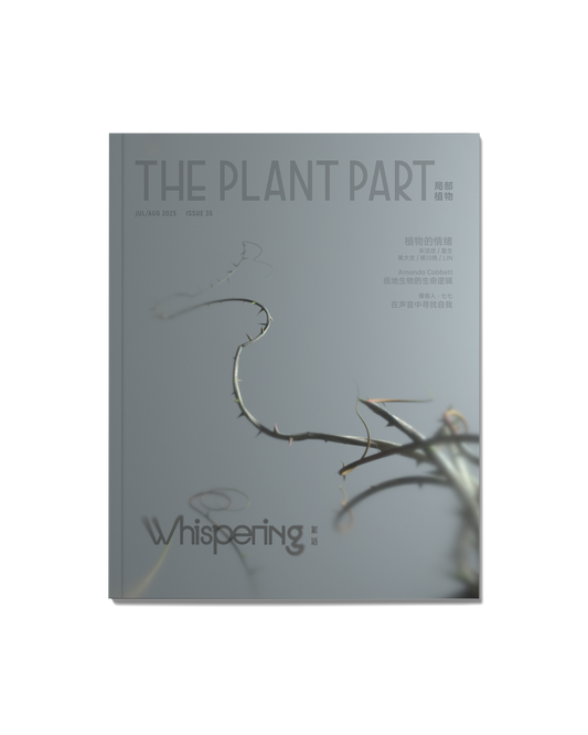 《P²ART》 ISSUE35 -「絮语」