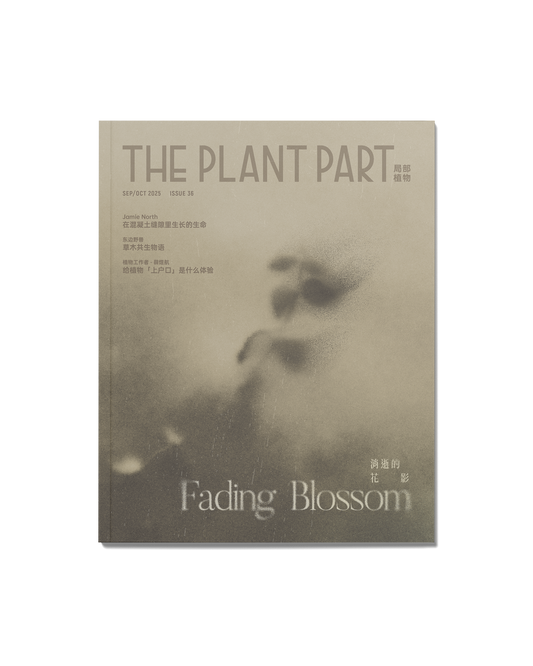 《P²ART》 ISSUE36 -「消逝的花影」-预售